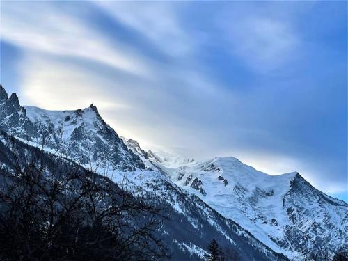 Appartement Appartement typique de montagne 1211 Route des Tines Chamonix-Mont-Blanc