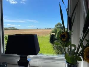 Appartement Uasterhörn Morsum Wohnung 3 Uasterhörn 4 25980 Morsum Schleswig-Holstein