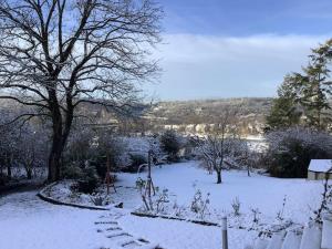 Über den Dächern von Koblenz - Aussichts-Wohnung Naturpark Rheinblick, ruhig, zentrumnah