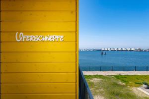 Uferschnepfe