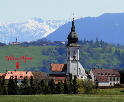 Ultra Alpes Ludwig Suite
