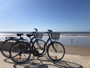 Un cocon zen les pieds dans l'eau à Hardelot