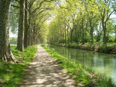 Appartement Un coin de campagne à 4km de la mer pour 4 à 6 personnes 19 Chemin de la Procession 34420 Portiragnes