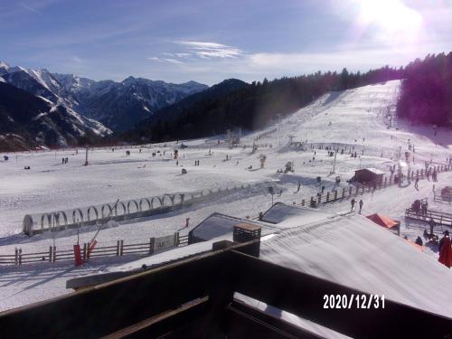 Un Isard au Pied des Pistes