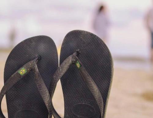 Un petit nid les pieds dans l’eau