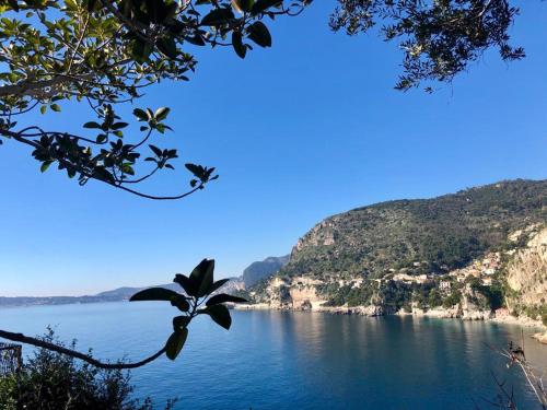 Une terrasse sur Monaco logement 2 chambre