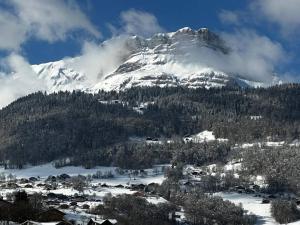 UP Mont Blanc