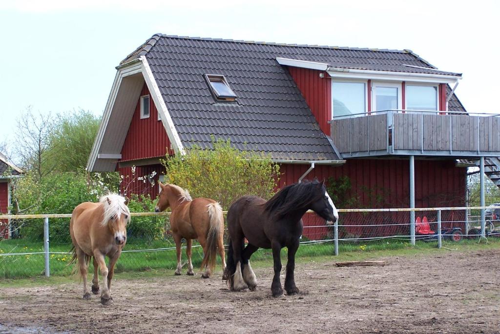 Appartement Urlaub auf dem Bauernhof Im Weidengrund 1 18314 Rubitz