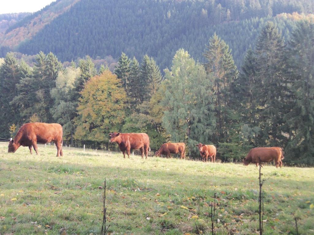 Urlaub auf dem Bauernhof Weiherstraße 12, 57250 Netphen