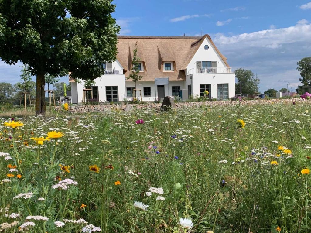 Urlaub de luxe unter Reet Haendel Zur Trift 20, 17406 Stolpe auf Usedom