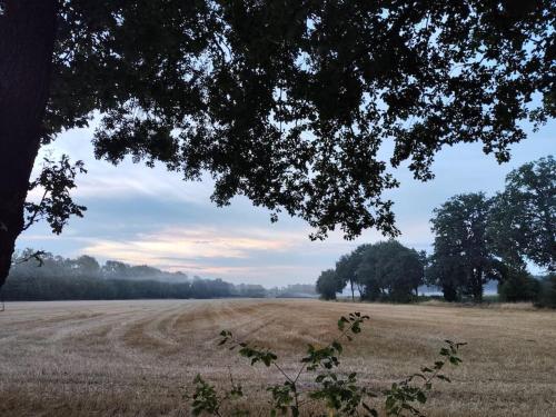 Urlaub im Erholungsgebiet der Dörenther Klippen