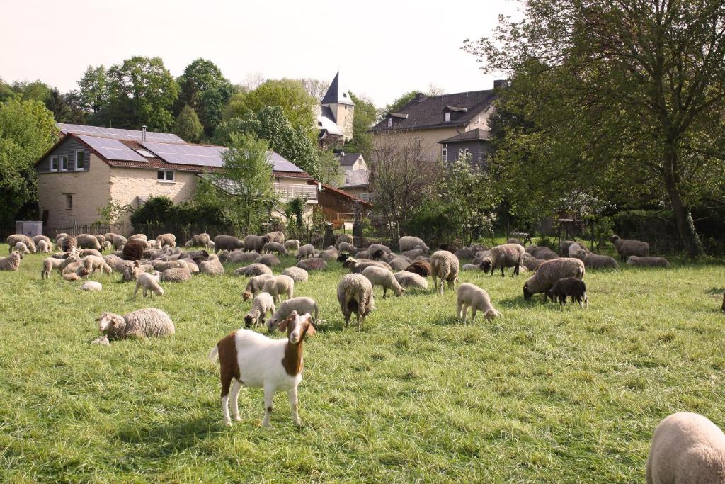 Urlaub im Kunstatelier 3 Am Schlösschen, 65594 Runkel