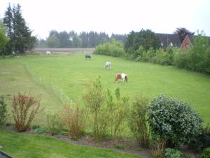 Urlaub zwischen Nord- und Ostsee