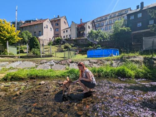Urlaubstraum mit Pool, Terrasse & Fluss im Garten - UT