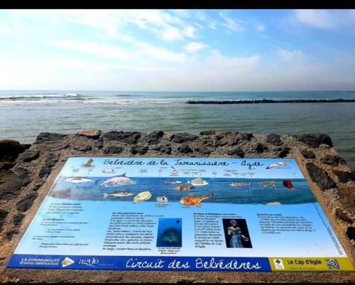 Vacance au Grau d'Agde