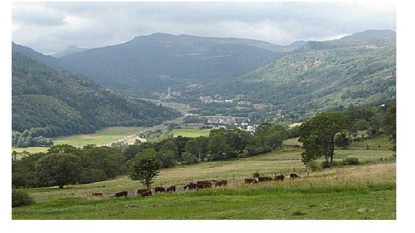 Appartement Vacances au pied des Monts du Cantal Le Meynialou 8 Route des estives 15300 Laveissière