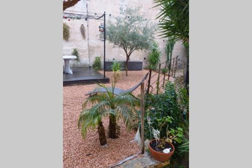 Vacances idéales limite Sanary sur mer !! logement partagé shared apartment