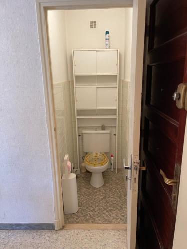 Valberg Studio 40M2 Plein Centre