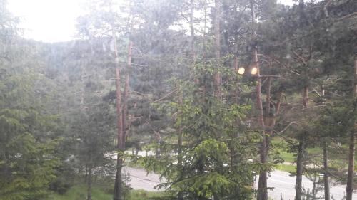 Valdeblore la colmiane