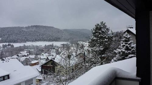 Appartement Vallei-zicht Studio appartement geschikt voor voor 2 tot 3 volwassenen of 2 volw plus 2 kinderen Winterberg allemagne