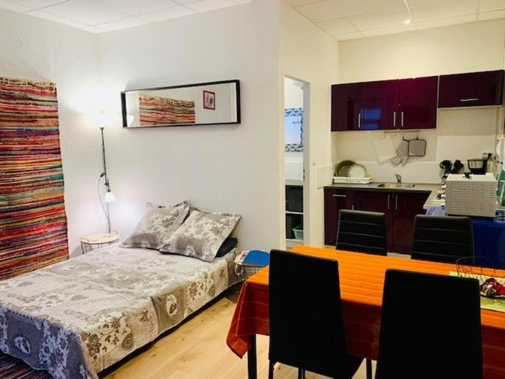 Valloire Studio Marmotte : Nid douillet centre de valloire, été / hiver 4p 73450 Valloire