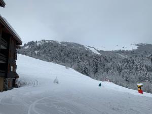 Valmorel Studio Skis aux pieds