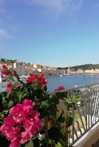Vaste appartement de standing proche Collioure