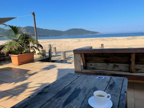 Verginaccia - Appartement 4 couchages pour des vacances en bord de Mer