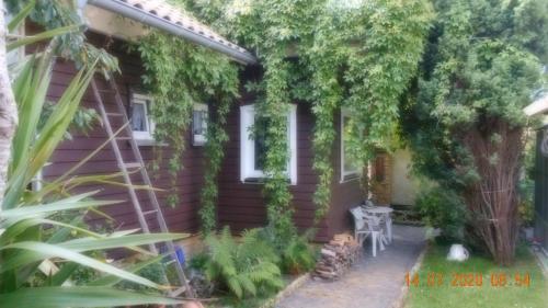 Vermiete sehr schönes Apartment in Dankerode im Harz