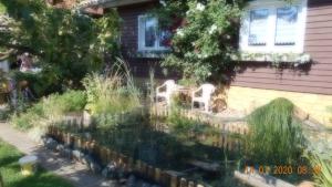 Vermiete sehr schönes Apartment in Dankerode im Harz