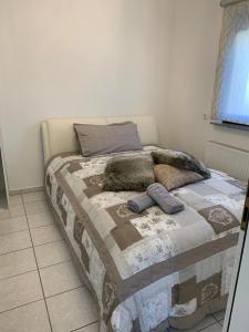 Vida Real Estate Feucht