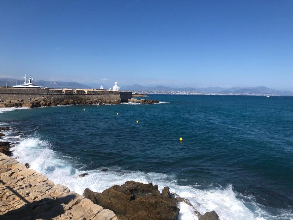 Vieil Antibes, ravissant 2p avec petite terrasse 6 Impasse des Palmiers, 06600 Antibes