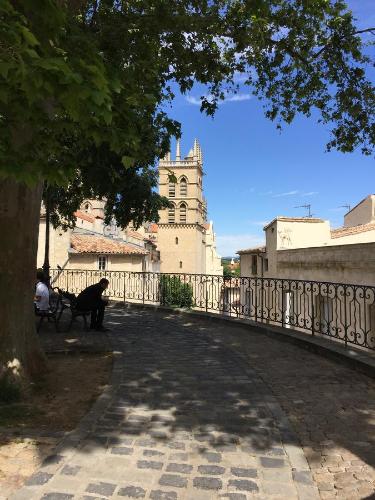 Appartement Vieille Intendance Montpellier france