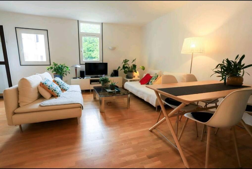 Appartement Vieille ville appartement spacieux avec parking gratuit 35 Côte Perrière 74000 Annecy