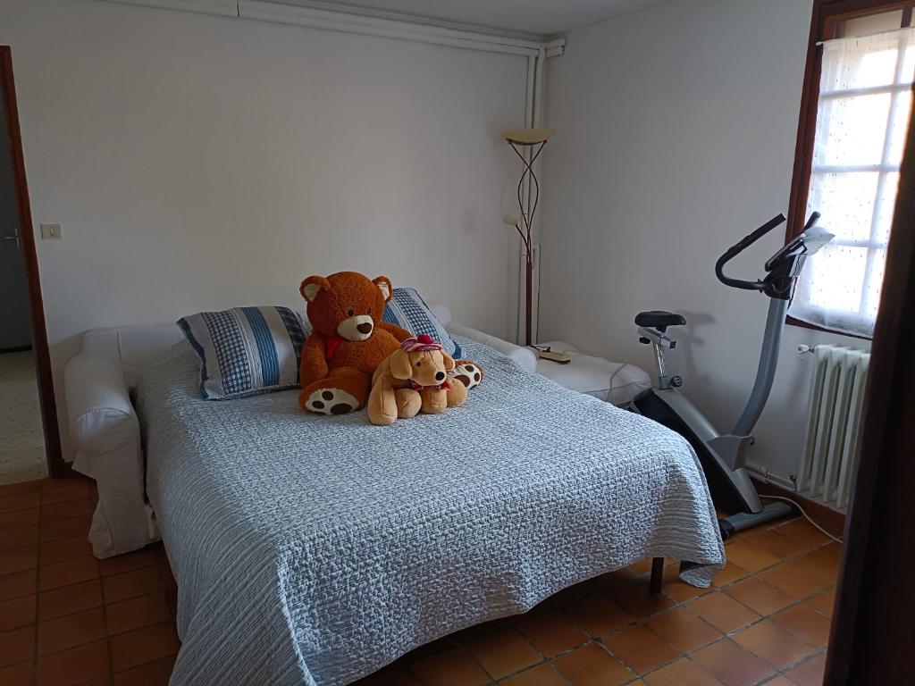 Vieux Lille - Large modern and functional studio