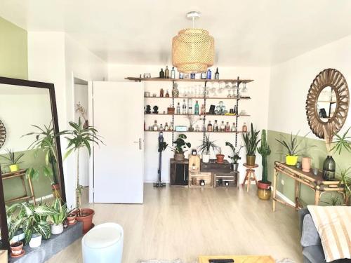 Vieux Lille, superbe appartement dans résidence