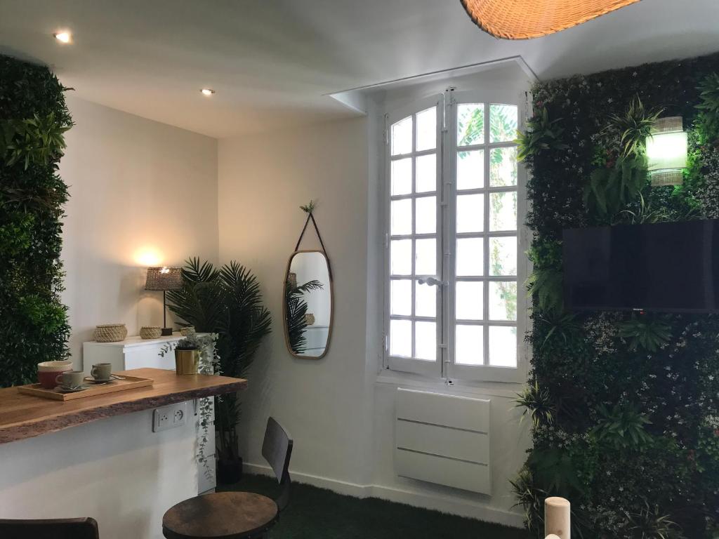 Appartement Vieux Port - Gare TGV - Canebière - hypercentre - JUNGLE STUDIO - wifi 45 Rue Curiol 13001 Marseille