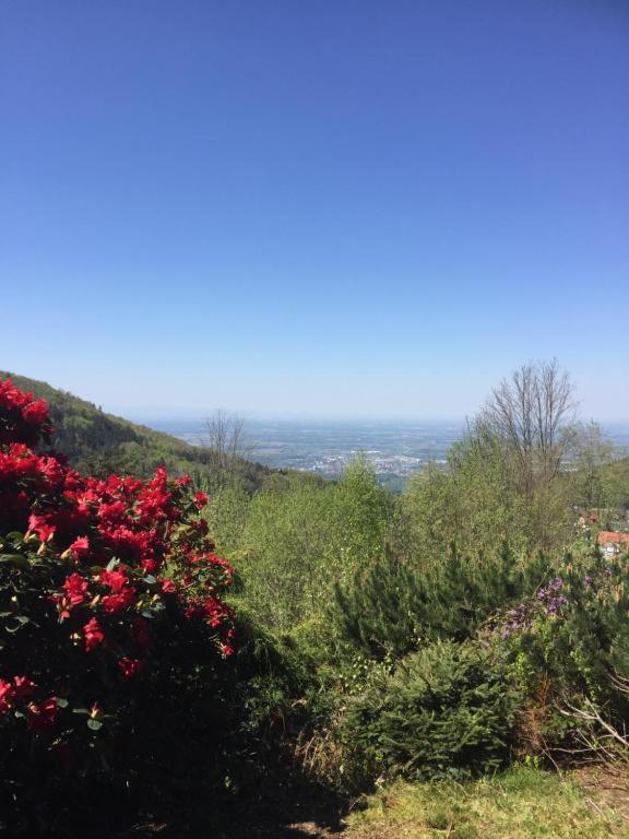 Appartement View from the Rock 41 Bergweide 77887 Sasbachwalden