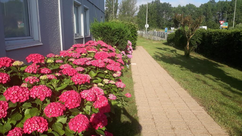 Vilamoura Golf Studio With Pool by Homing 8125-428 Vilamoura