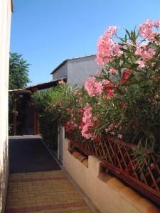 Appartement Villa climatisée 3 Pièces 100 m plage CAP D'AGDE LES TOSCANES Villa 29 34300 Le Cap d\'Agde Languedoc-Roussillon