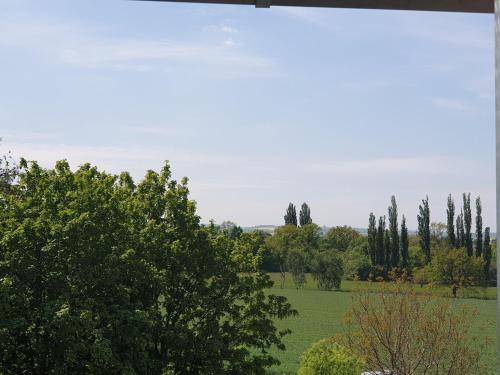 Villa-Cosel-Ferienwohnung-1-EG
