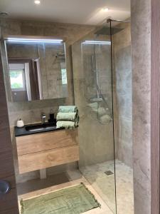 Villa Del Mar Bord de mer Palm Beach Cannes