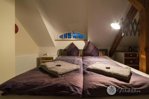 Villa Dohna - Apartment Wedelstam