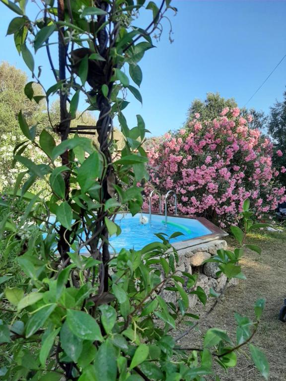 Villa Giuseppina Lieu Dit Bancarello, 20169 Bonifacio