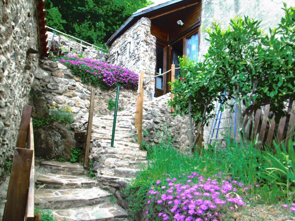 Villa Haniel Apartment Leo 01069 Dresde
