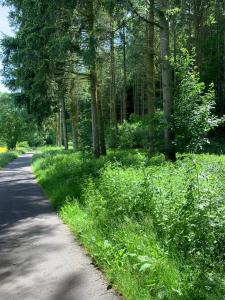 Appartement Villa Heckespatz 9 Am Bergwald 55606 Hochstetten-Dhaun Rhénanie-Palatinat