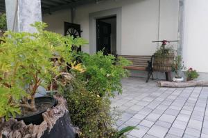 Villa Hinterland