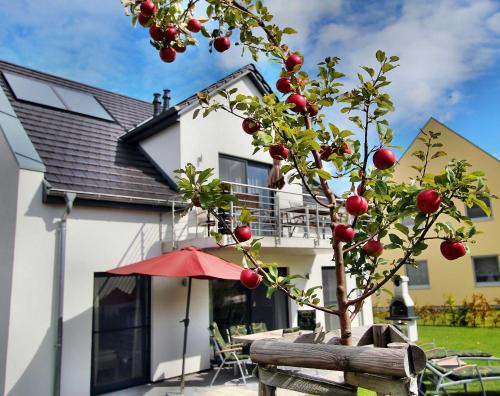 VILLA HUeGEL _ OG_Fewo
