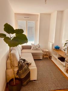 Villa Julietta- new, chic, spacious apartment ideal for business travelers