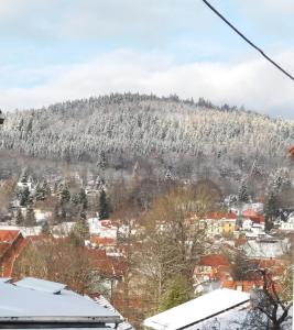 Villa Kunterbunt am Rennsteig